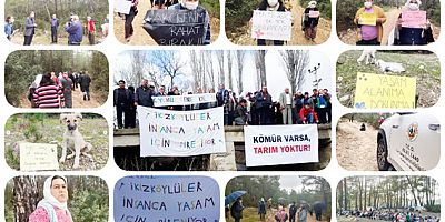 İkizköy Halkı Yeni Bir Orman Katliamına Dur Dedi